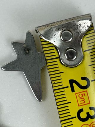 Pendientes Estrella Baño Plata