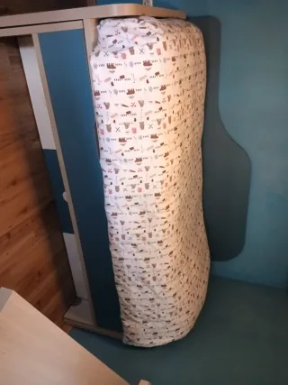 Dormitorio :cama nido , escritorio, estantería