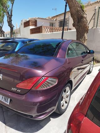 Peugeot 307 2007 cambio por furgoneta mixta