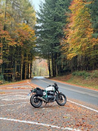 Royal Enfield Bear Interceptor 650 2025