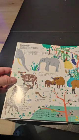 Libro Animales de la Selva didáctico