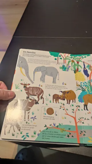 Libro Animales de la Selva didáctico
