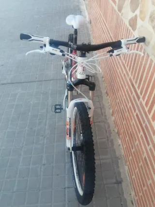 Bicicleta de Montaña