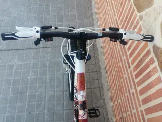 Bicicleta de Montaña