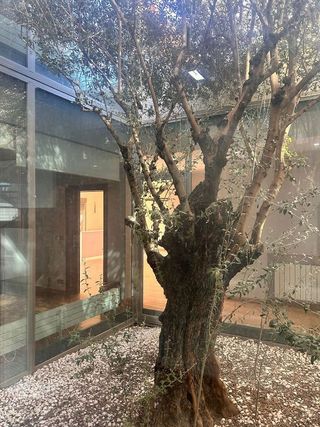 Chalet en alquiler en Miguelturra