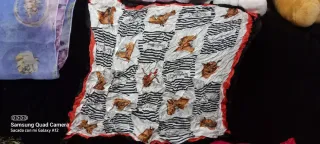 Lote 12 bufandas y 2 pares de zapatos