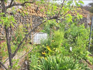 Casa rural en venta en Güímar