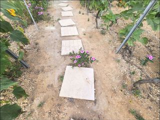 Casa rural en venta en Güímar