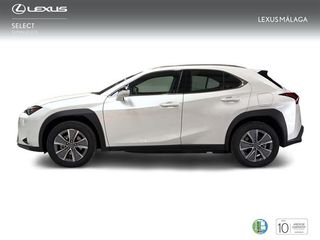 Lexus UX 300e e-UX
