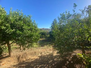 Terreno en venta en Coín