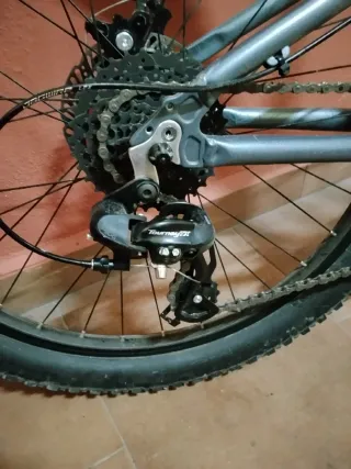 Bicicleta Scott 24 Grigia