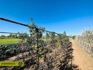 Terreno en venta en Vinyets - Molí Vell en Sant Boi de Llobregat