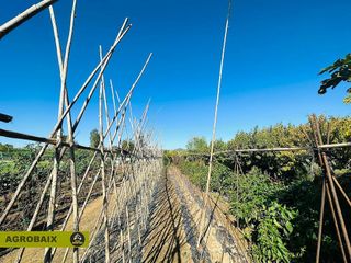 Terreno en venta en Vinyets - Molí Vell en Sant Boi de Llobregat