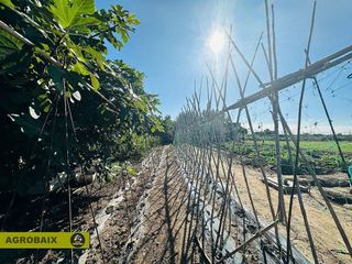 Terreno en venta en Vinyets - Molí Vell en Sant Boi de Llobregat