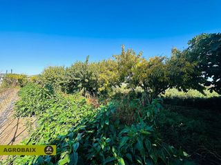 Terreno en venta en Vinyets - Molí Vell en Sant Boi de Llobregat