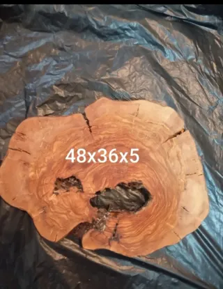 Rodaja de olivo 48x36x5