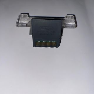 Animal Crossing Wild World Nintendo DS come nuovo