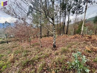 Terreno en venta en Porriño (O)