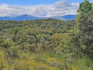 Terreno en venta en Pedrezuela