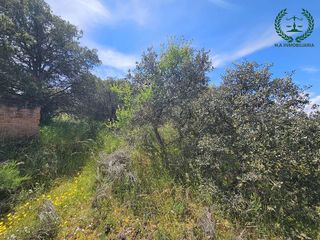 Terreno en venta en Pedrezuela