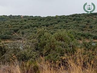 Terreno en venta en Pedrezuela