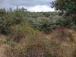 Terreno en venta en Pedrezuela