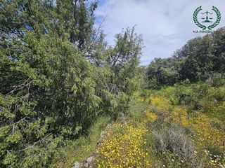 Terreno en venta en Pedrezuela