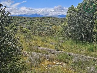 Terreno en venta en Pedrezuela