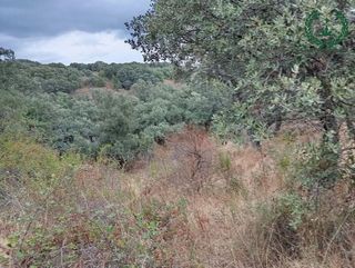 Terreno en venta en Pedrezuela