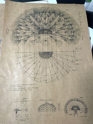 Dibujo botánico diente de león papel