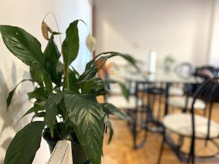 Piso en venta en Castiñeiriño - Cruceiro de Sar en Santiago de Compostela