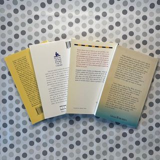 Libro catalán La Casa sota la Sorra