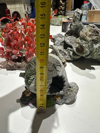 Decorazioni acquario