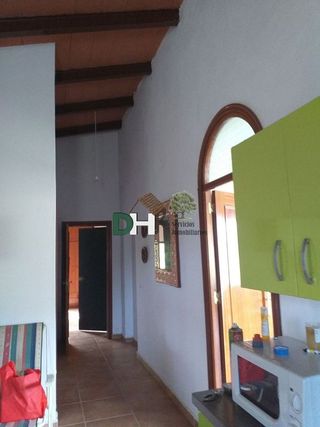 Terreno en venta en Sur en Mérida