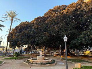 Oficina en venta en Benalúa en Alicante