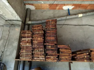 Equipación Apicultura abejas