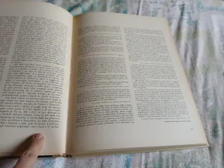 L'opera completa di Van Dyck 1613-1626 leggi annun