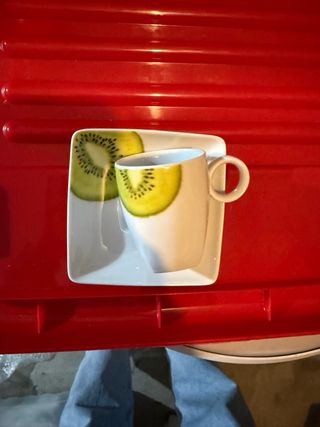 Prato Vista Alegre Coleção Tropics