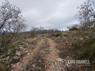 Terreno en venta en Vall d´Uixó (la)