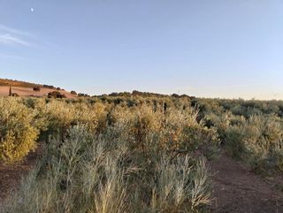 Terreno en venta en Villamartín