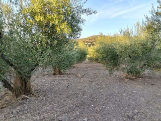 Terreno en venta en Villamartín