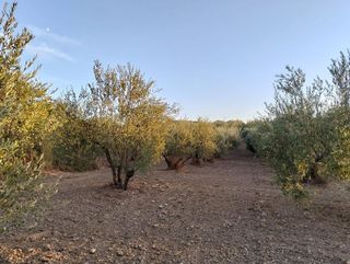 Terreno en venta en Villamartín