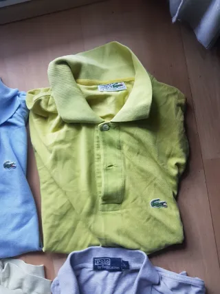 Polos de ralph lauren,  lacoste y napapijri