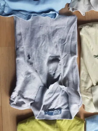 Polos de ralph lauren,  lacoste y napapijri