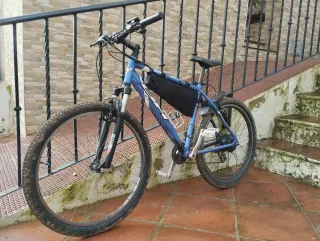 Bicicleta eléctrica