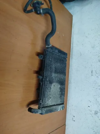 Radiador Honda Silver Wing 600 (2010)