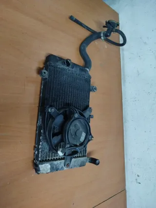 Radiador Honda Silver Wing 600 (2010)