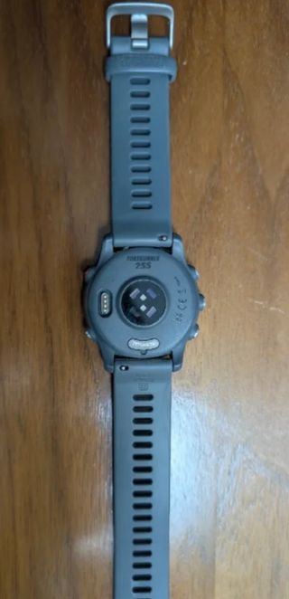 Reloj Garmin Forerunner 255 Gris
