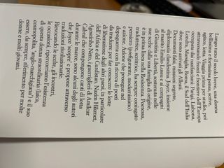 La Sibilla: Vita di Joyce Lussu (Italian Edition)