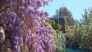 Chalet en alquiler en Sant Joan de Labritja